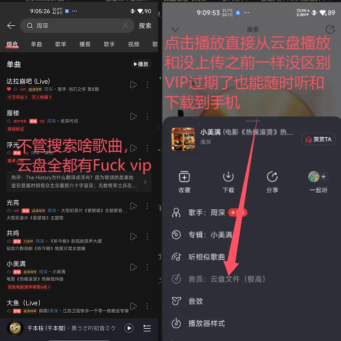 图片[6]-【油猴脚本】网易云音乐云盘-丸子酱